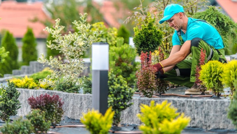 Bien structurer votre jardin : conseils essentiels pour un espace harmonieux